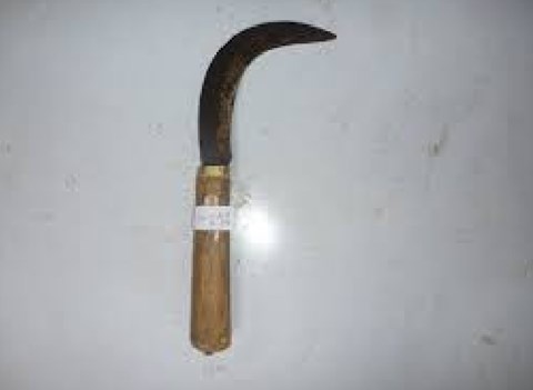 Kiem lam vien bi thanh nien tan cong tai tru so hinh anh