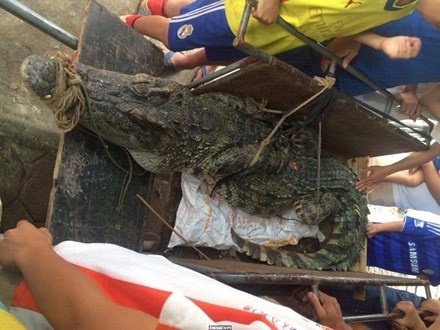 Bat duoc ca sau hon 70 kg o ho cau noi tieng Ha Noi hinh anh