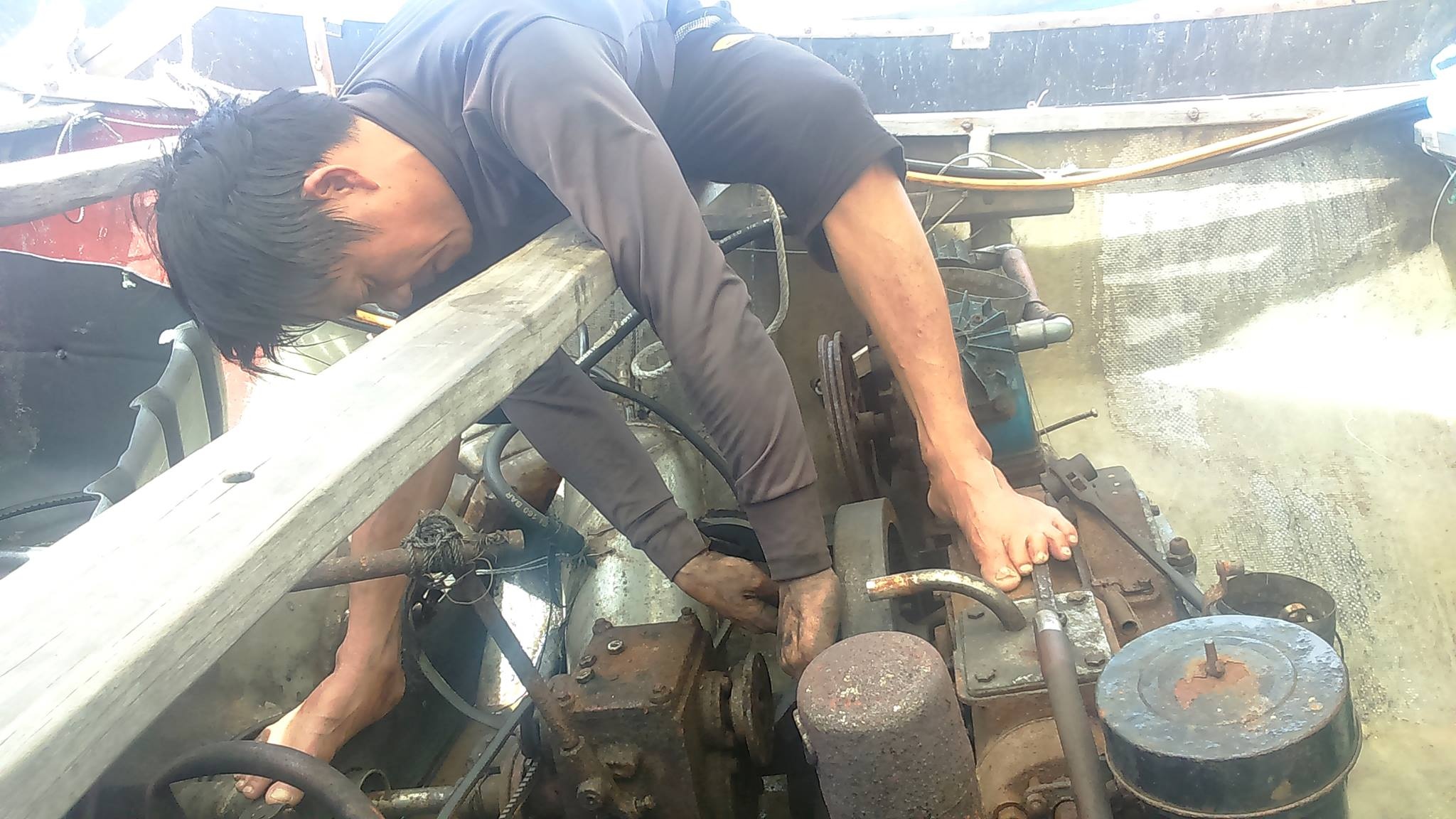 Ha Tinh lap hoi dong danh gia thiet hai do Formosa gay ra hinh anh