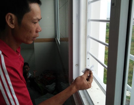 Kiến ba khoang tấn công Bệnh viện ảnh 1 Kien ba khoang tan cong Benh vien anh 1