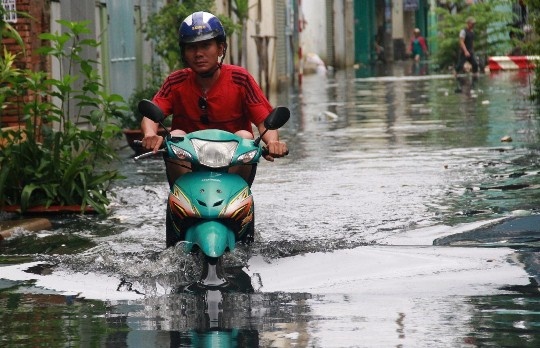 TP HCM co 41 diem ngap hinh anh