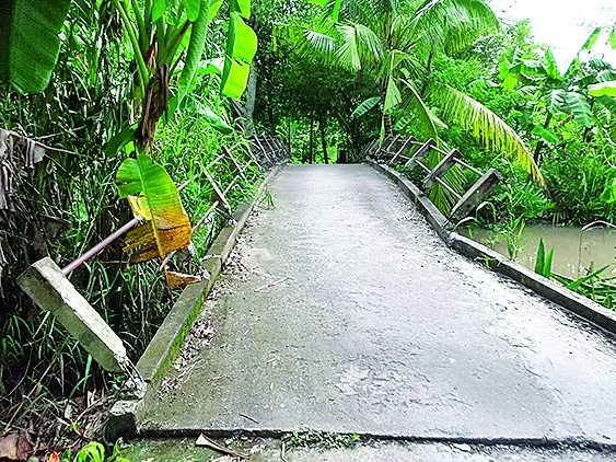 Pha hang loat lan can cau de oto cua can bo di hinh anh