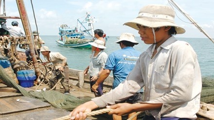 Thiet hai do Formosa xa thai: Boi thuong, ho tro the nao? hinh anh