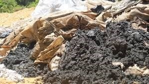 So TN&MT Ha Tinh cap 'bao boi' cho Formosa? hinh anh