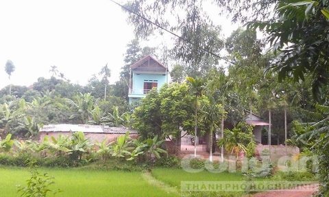 chích điện giết chồng ảnh 1 chich dien giet chong anh 1