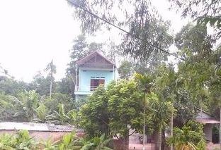 Vo dung dien 'chich' chong tu vong hinh anh