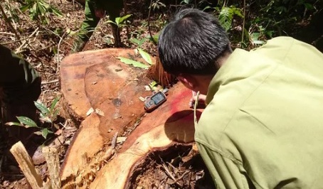 Trum buon go lau Ha den anh 2