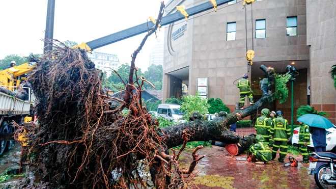 Thiet bi Trung Quoc anh huong toi du bao bao? hinh anh