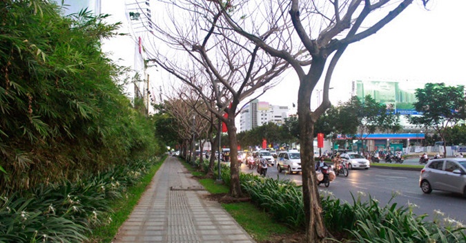 Cay da chet kho, cac bo van con… ban hinh anh