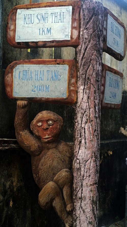 cúp điện Cù Lao Chàm ảnh 1 cup dien Cu Lao Cham anh 1