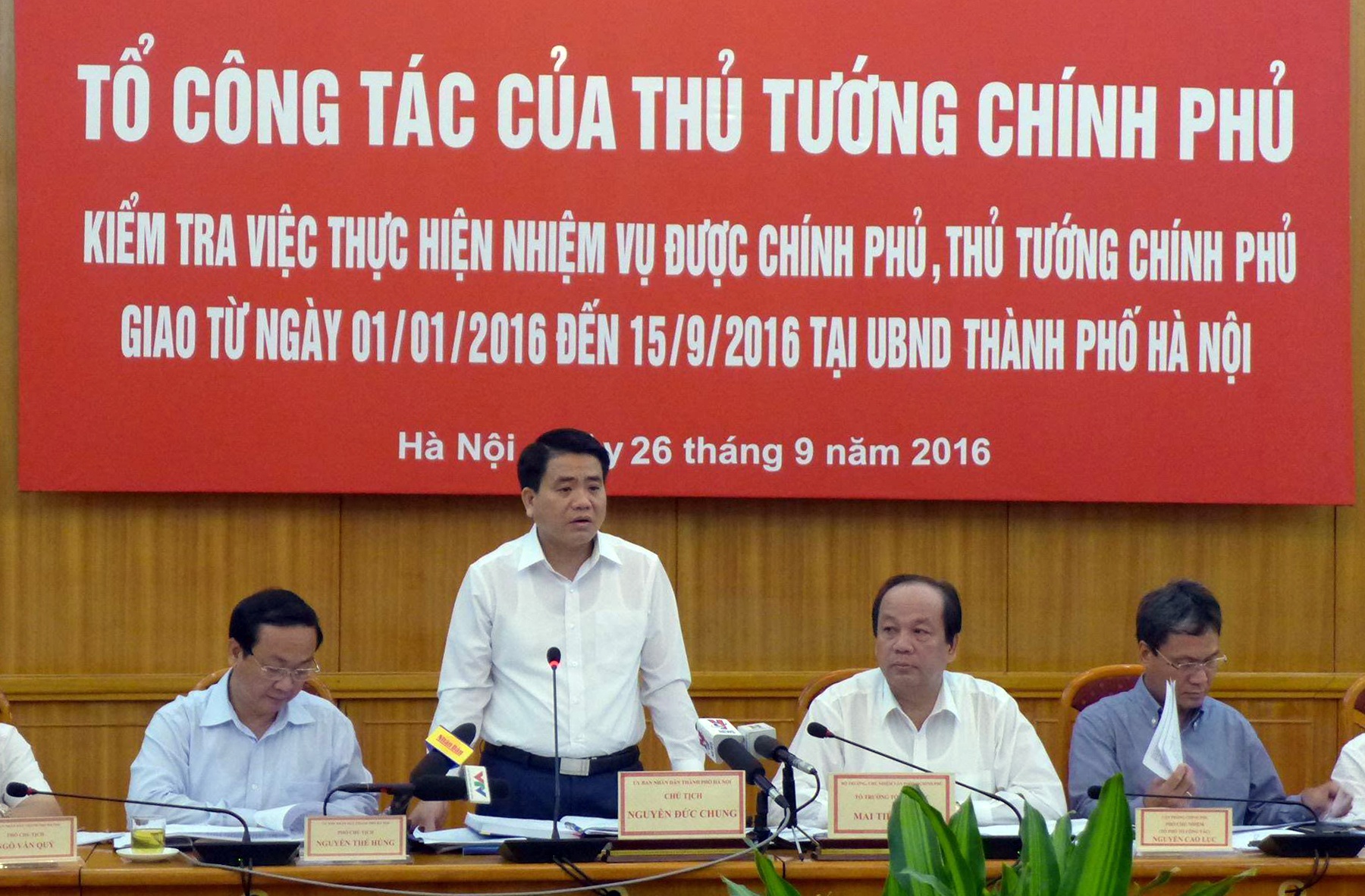 cat tia cay xanh anh 1