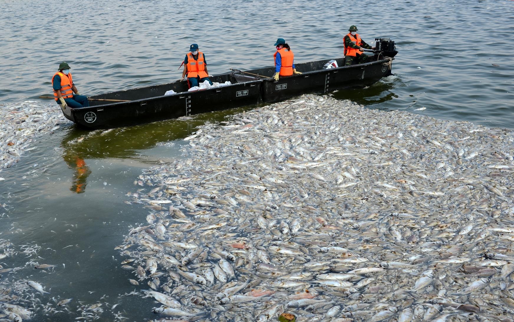 Bo Cong an dang dieu tra vu ca chet tai ho Tay hinh anh