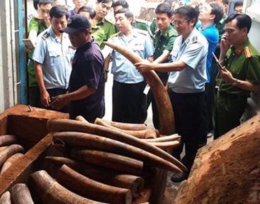 Hon 2 tan nga voi duoc nguy trang tinh vi trong ruot go hinh anh