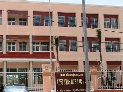 Hang loat can bo Lien minh HTX Hau Giang dinh ky luat hinh anh