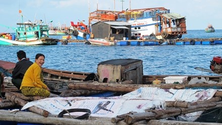 Ty phu lung tran giua bien hinh anh