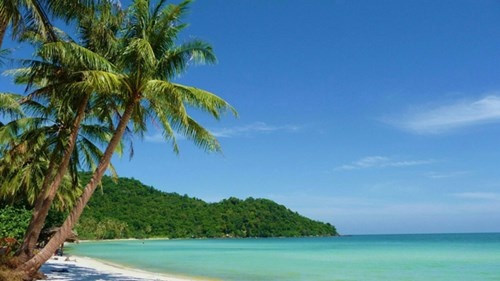 Robinson ở đảo thiên đường ảnh 1 Robinson o dao thien duong anh 1