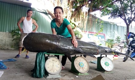 Bat duoc ca tra dau nang 130 kg tren song Serepok hinh anh