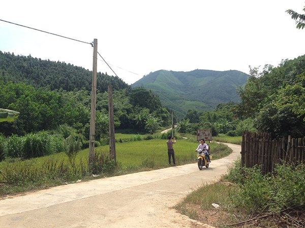 Huyen ngheo xin lam duong 300 ty xuyen khu bao ton hinh anh