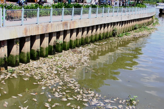 Ban giai phap cuu dan ca Nhieu Loc - Thi Nghe hinh anh