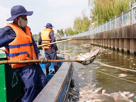 Lap voi bom, may quat cho ca tren kenh Nhieu Loc hinh anh