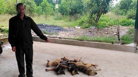 Kẻ trộm chó bị dân làng đánh ảnh 1 Ke trom cho bi dan lang danh anh 1