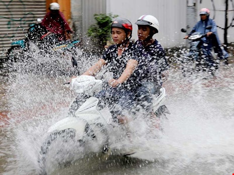 TP.HCM chong ngap bang tao rong via he va lam bo bao xanh hinh anh