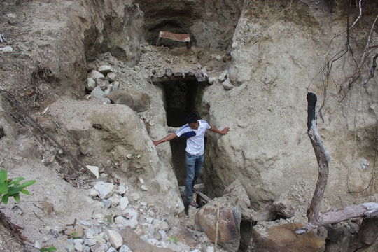 Pha rung, khoet nui dao vang hinh anh