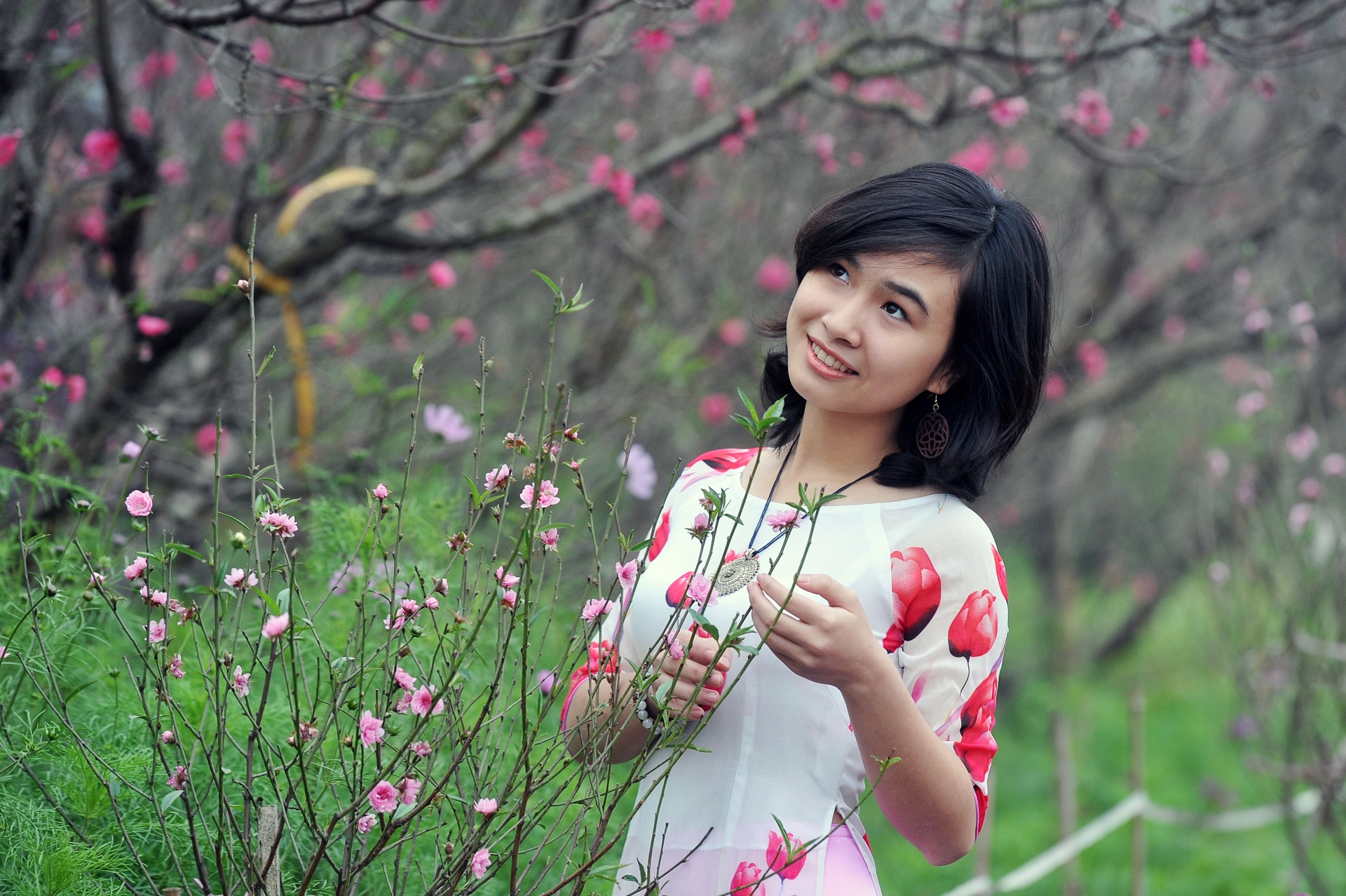 Cong bo lich nghi Tet nam 2017 hinh anh