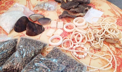Phat hien 3,3 kg nghi la nga voi, sung te giac hinh anh