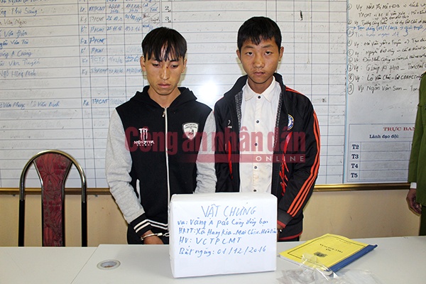 buon ban ma tuy anh 2