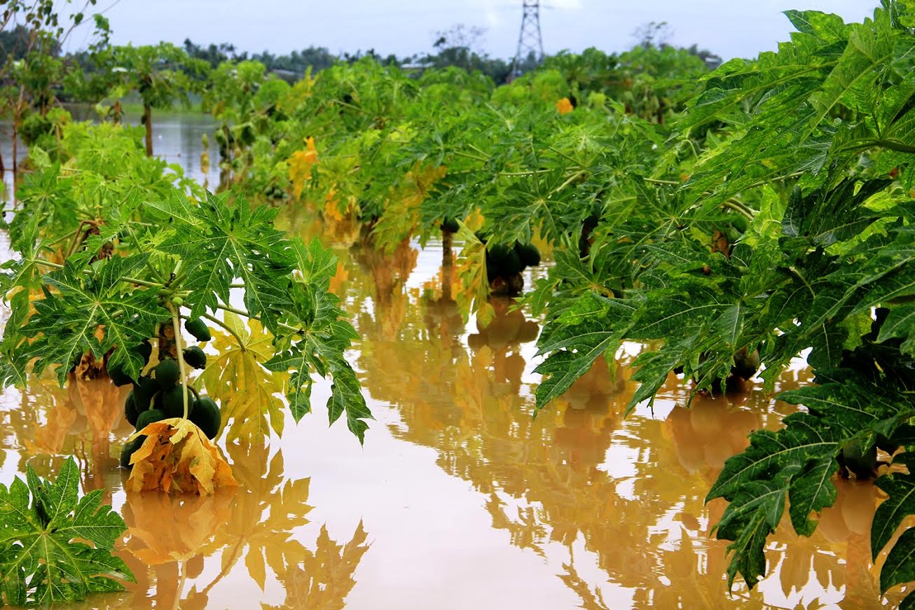 Lũ lớn ở miền Trung ảnh 3 Lu lon o mien Trung anh 3