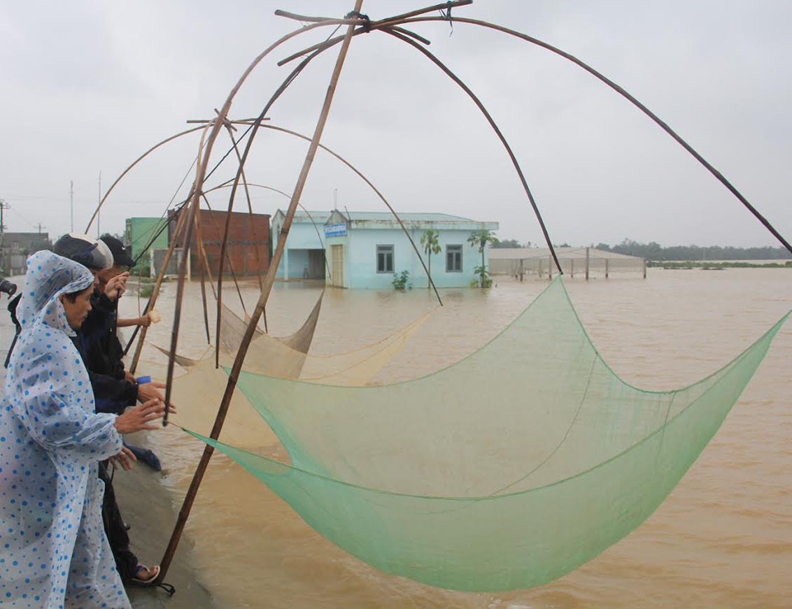 Dan Quang Nam do ra duong giang ro bat ca giua lu lon hinh anh