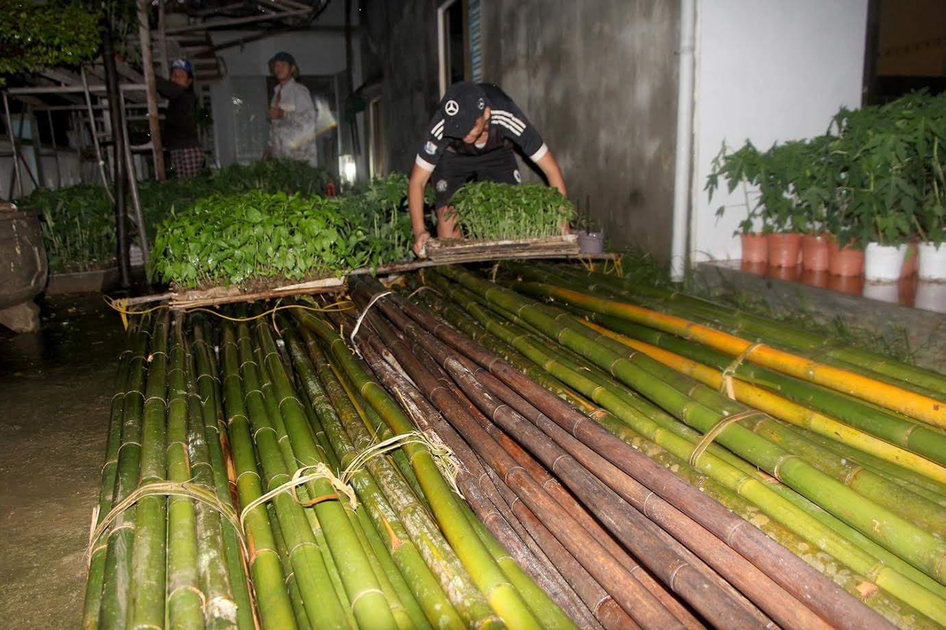dan Quang Nam trang dem chay lu anh 1