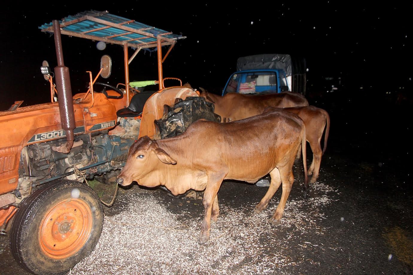 dan Quang Nam trang dem chay lu anh 7