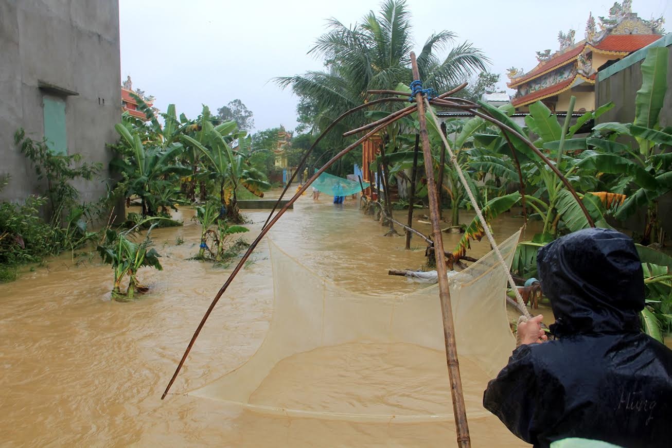 Nông dân vùng giăng rớ bắt cá ảnh 10 Nong dan vung giang ro bat ca anh 10