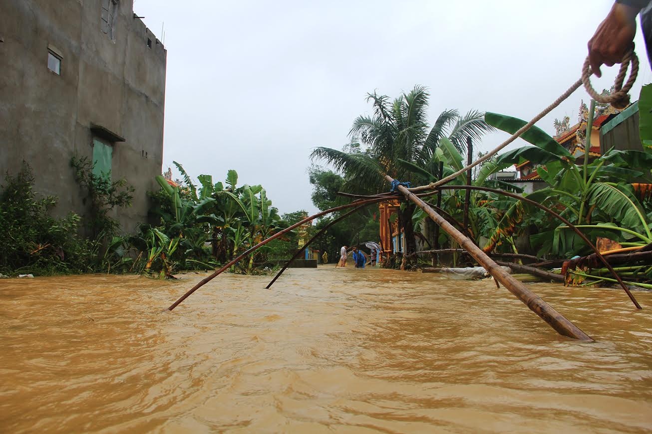 Nông dân vùng giăng rớ bắt cá ảnh 11 Nong dan vung giang ro bat ca anh 11