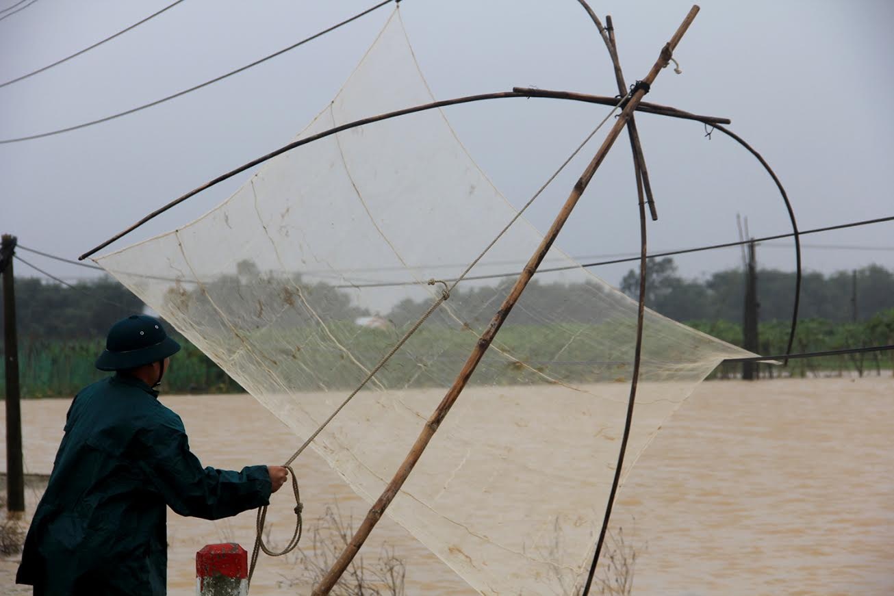 Nông dân vùng giăng rớ bắt cá ảnh 5 Nong dan vung giang ro bat ca anh 5
