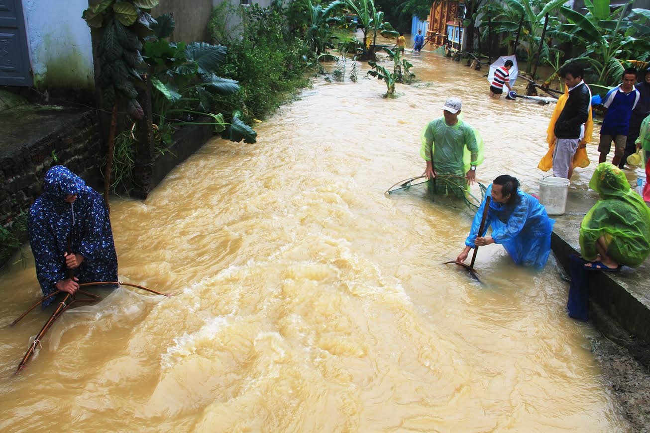 Nông dân vùng giăng rớ bắt cá ảnh 6 Nong dan vung giang ro bat ca anh 6