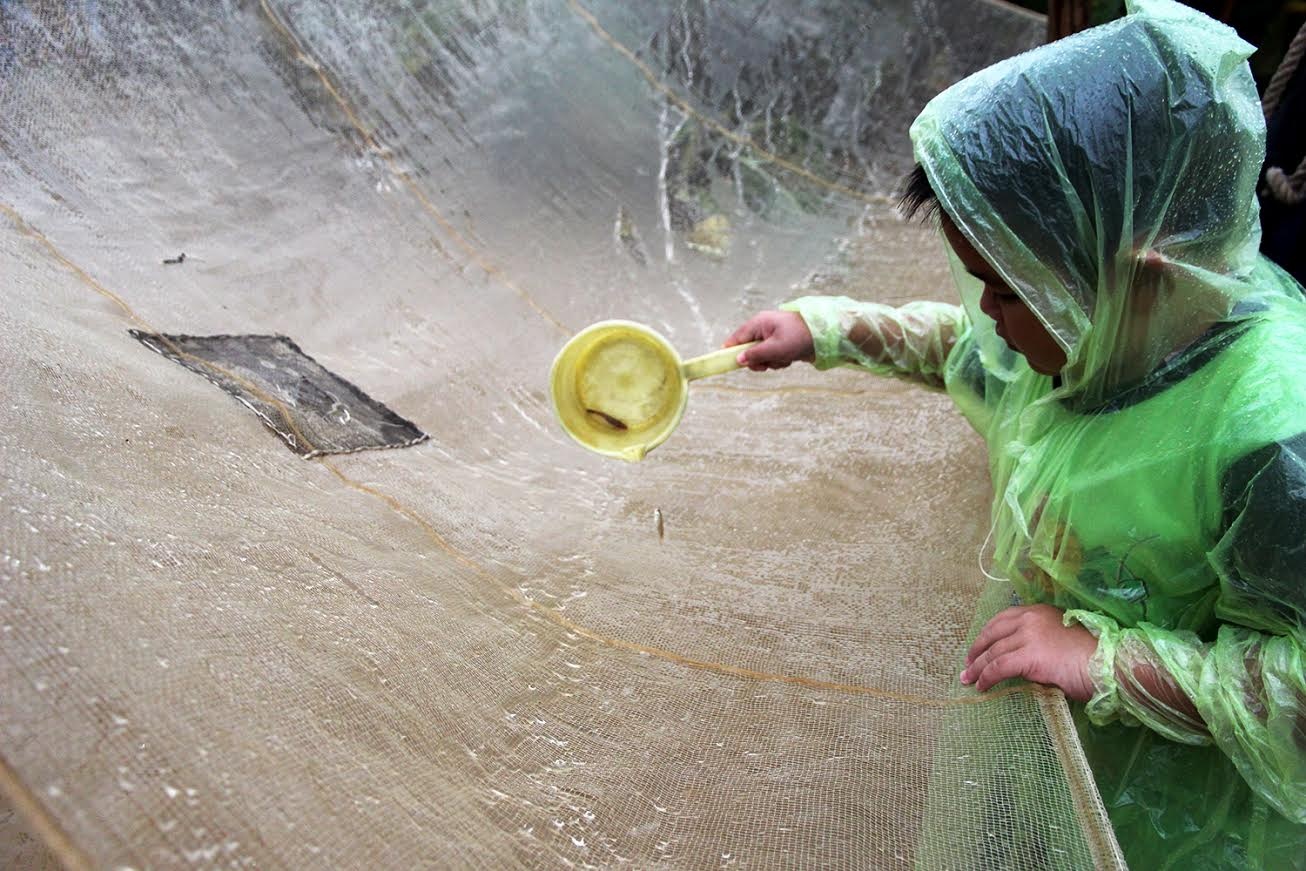 Nông dân vùng giăng rớ bắt cá ảnh 7 Nong dan vung giang ro bat ca anh 7