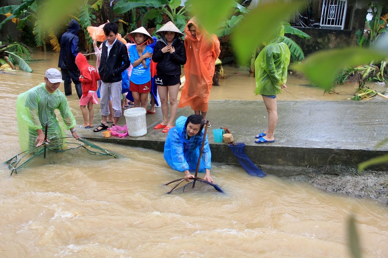 Nông dân vùng giăng rớ bắt cá ảnh 8 Nong dan vung giang ro bat ca anh 8