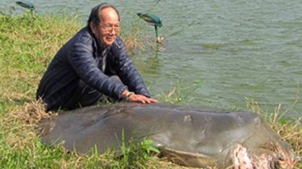 Bao quan, che tac cu rua cham hon 1 nam so voi du kien hinh anh