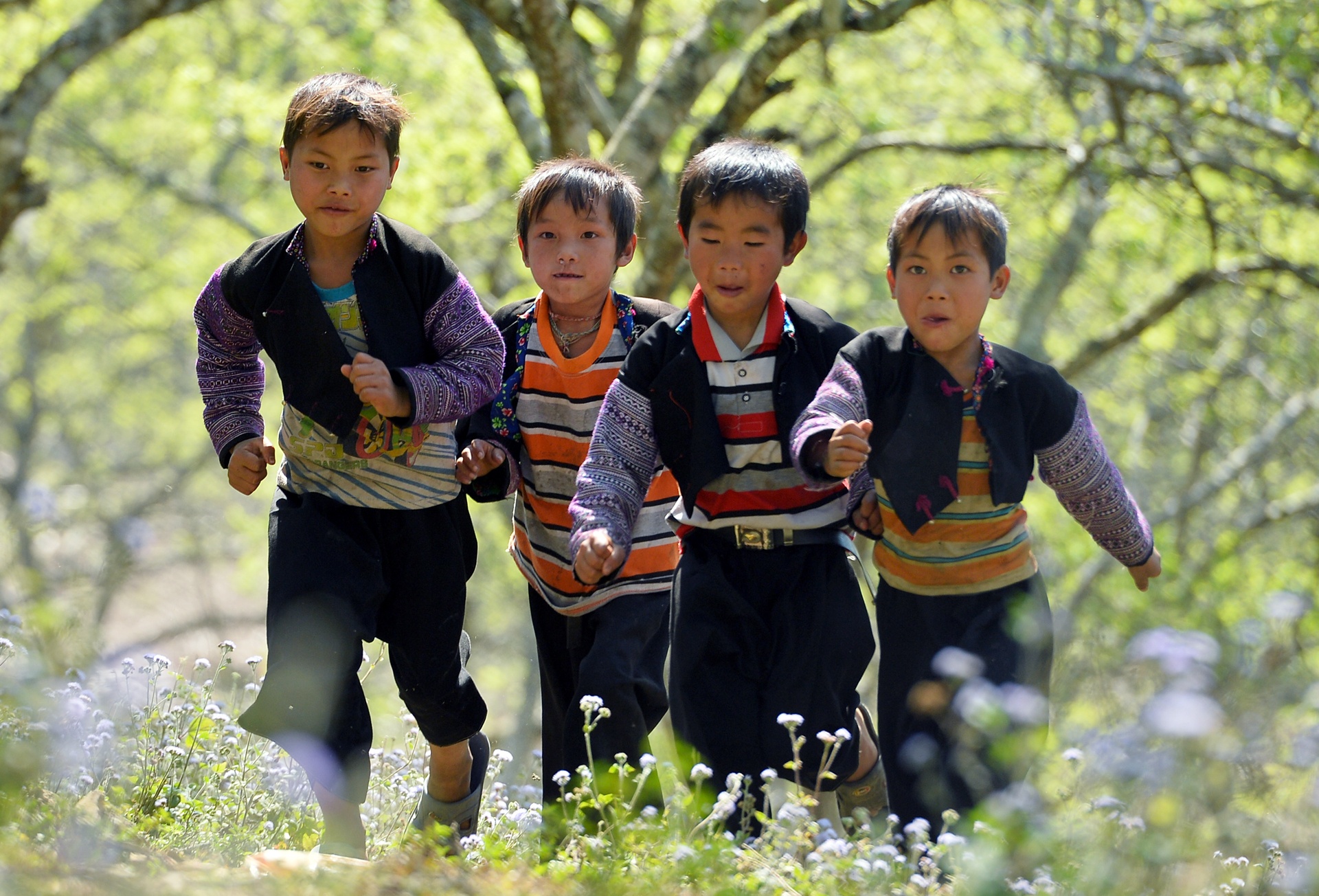 dân số Việt Nam tăng ảnh 1 dan so Viet Nam tang anh 1