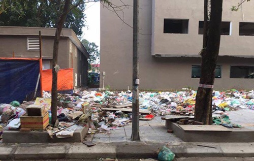 chung cu ngap rac anh 1