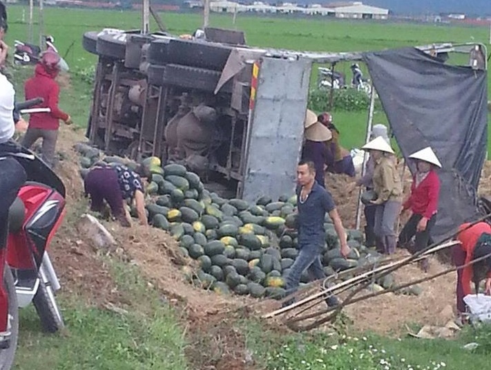 Xe cho 20 tan dua lat xuong ruong lua, khong mat mot qua hinh anh