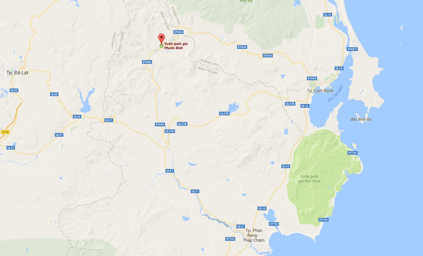 Lai thành công bò tót rừng F2 ảnh 2 Lai thanh cong bo tot rung F2 anh 2