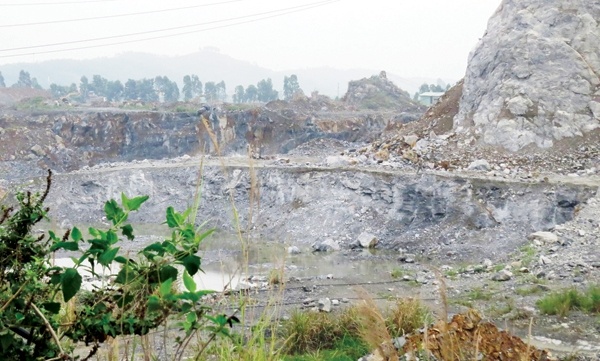 Dan khon kho vi ca chuc 'Tuyet tinh coc' o Hai Phong hinh anh