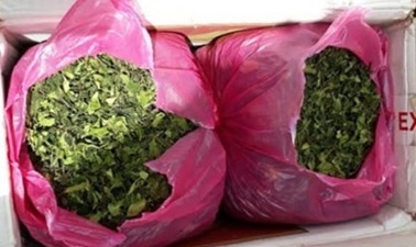 Phat hien 2,7 tan nghi la Khat trong container tai Hai Phong hinh anh