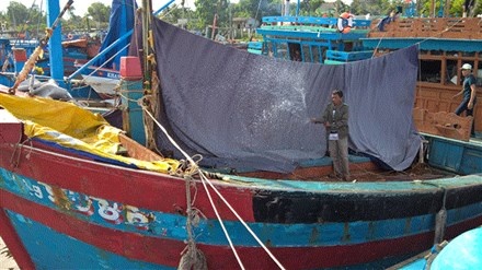 Tam cho tau ca nam bo hinh anh