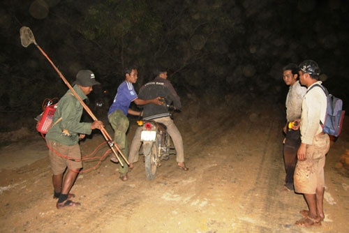 Tan diet thu rung hinh anh