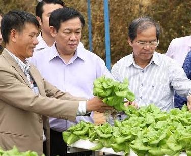 Pho thu tuong Vuong Dinh Hue tham hop tac xa Lam Dong hinh anh